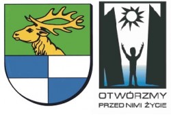 Powiat_PSONI-logo
