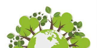 światowy dzień środowiska logo