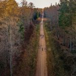 Borecka Łękuk Trail - zdjęcia