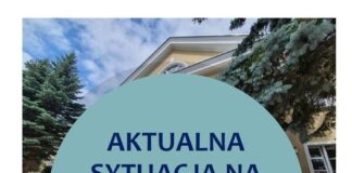 logo aktualna sytuacja na rynku pracy pup