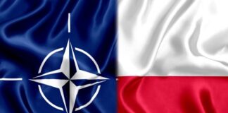 25 lat Polski w NATO logo