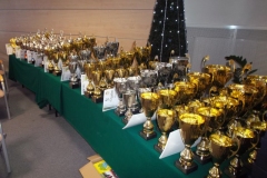 2015 gala sportu