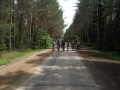 troki29