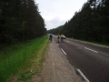 solecz12
