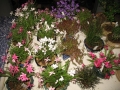 alytus_2013-030