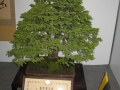 alytus_2013-037