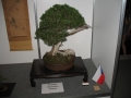 alytus_2013-038