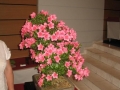 alytus_2013-042