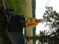 holandia-4