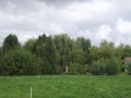 zdjęcie 004