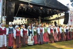 Święto Grzyba 2017