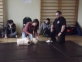 DSCF1417