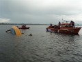 news_219_1