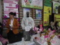 dscf1377