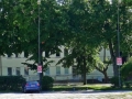 HIV 007