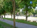 HIV 008