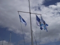 DSCF9029