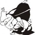 aikido-120×120