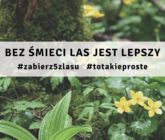 #Zabierz5zLasu