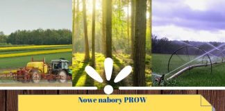 nabory prow