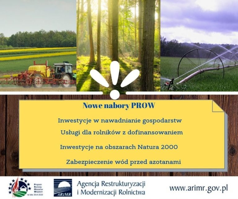 nabory prow