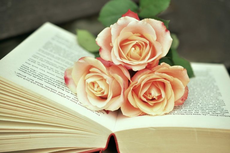 8 maja – Dzień Bibliotekarza i Bibliotek