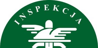 logo inspekcja transportu drogowego