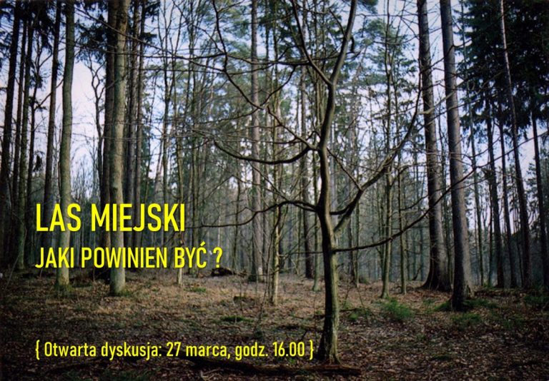 Otwarta dyskusja: Las Miejski jaki powinien być?