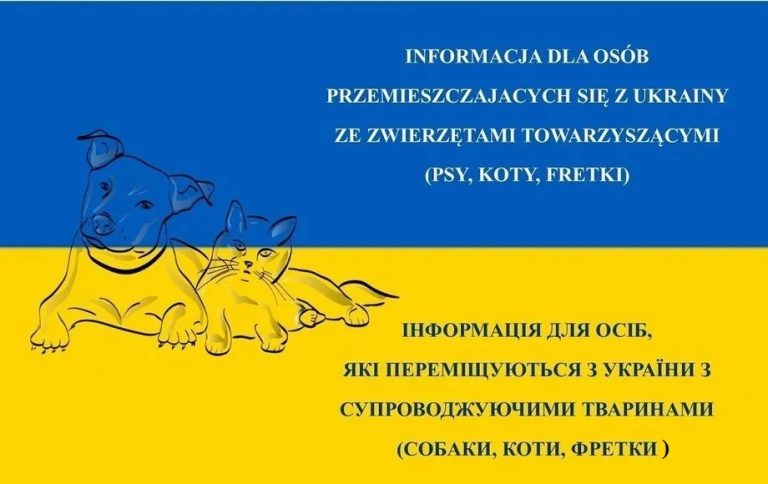 Informacja dla osób przemieszczających się z Ukrainy ze zwierzętami towarzyszącymi (psy, koty, fretki)