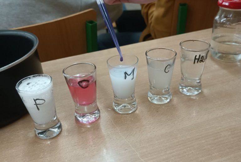 Dzień Eksperymentowania w I LO