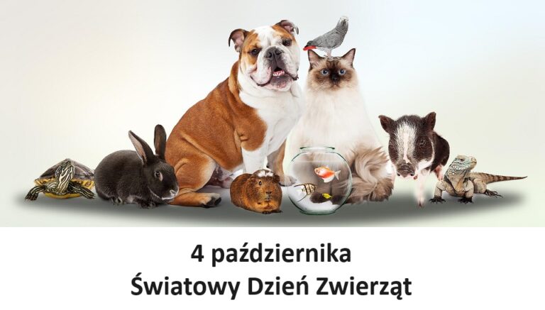 4 października obchodzimy Światowy Dzień Zwierząt