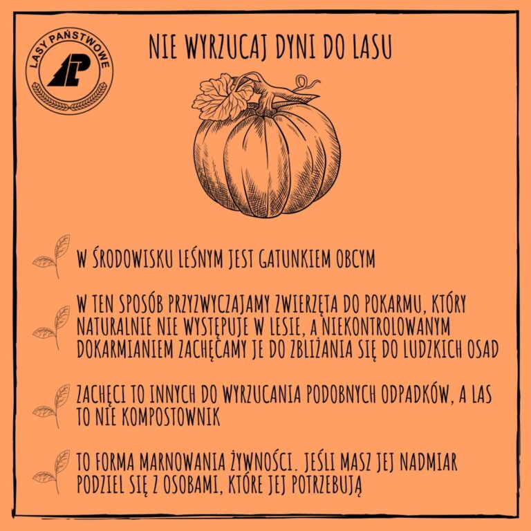 Nie wyrzucaj dyni do lasu