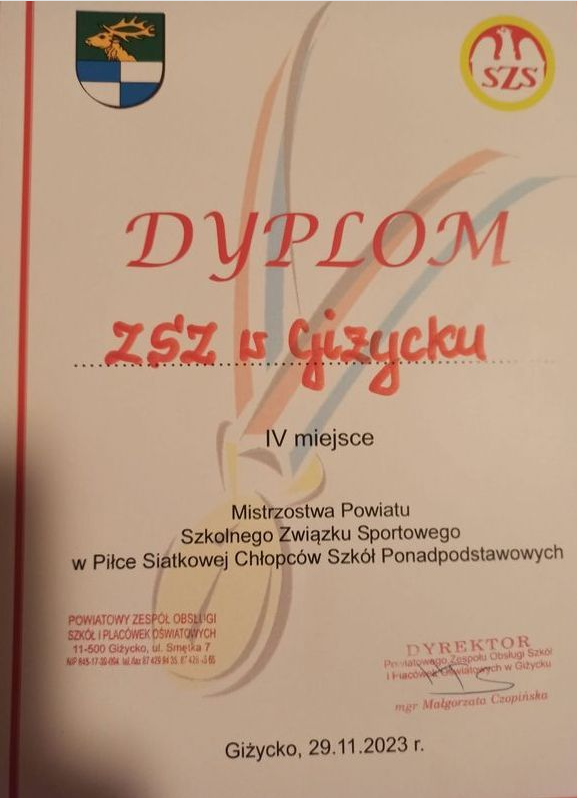 zdjęcie zawody piłka siatkowa